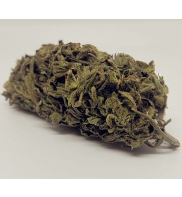 CBD Weed Og Kush Indoor...