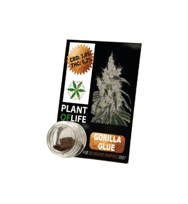 CBD-Pollen-CBD-pollen-gorilla-glue-Plant-of-life-2